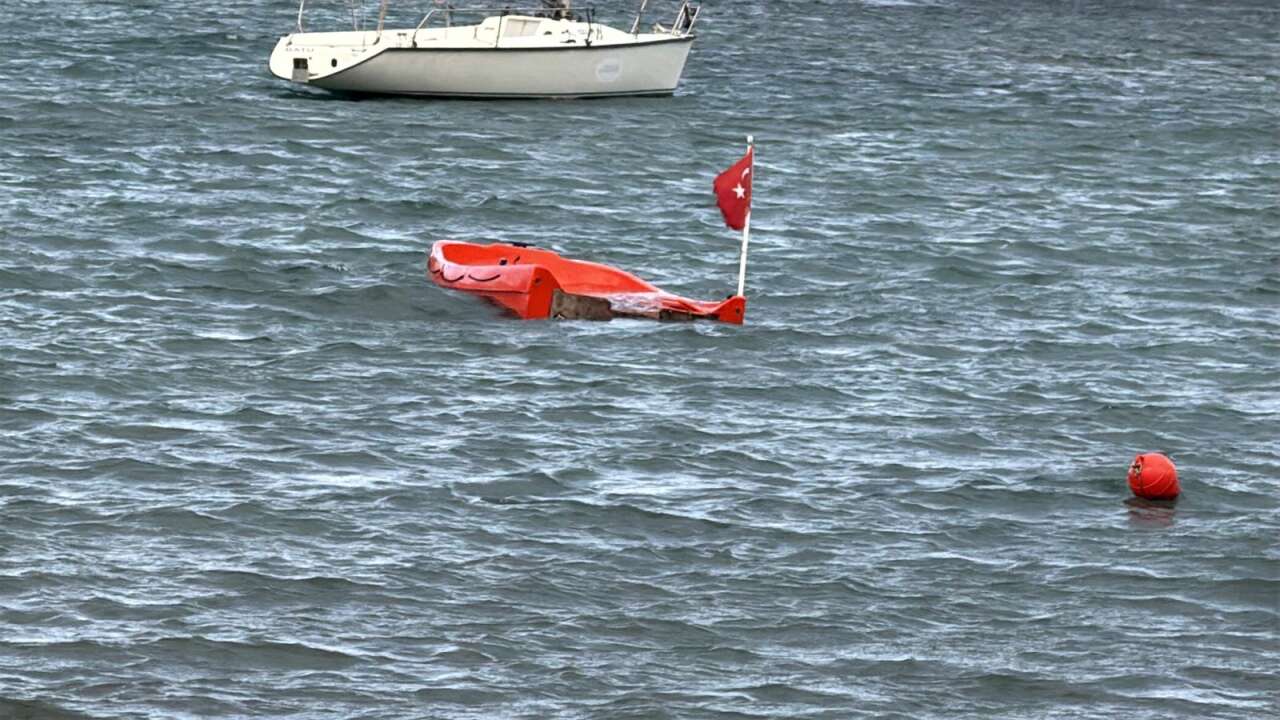 Turizm Cenneti Bodrum’u Fırtına Vurdu: Elektrikler Kesildi, Ağaçlar Devrildi, Tekne Battı 5